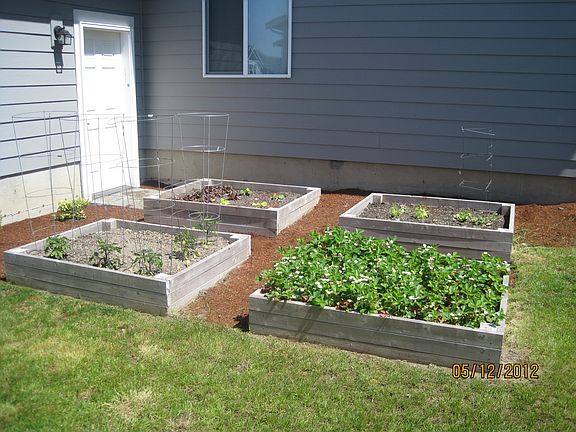Garden Boxes