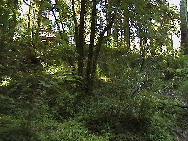 2nd image of 14762 Willow Rd