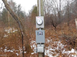 8125 Harley Ave, Rodney, MI 49342