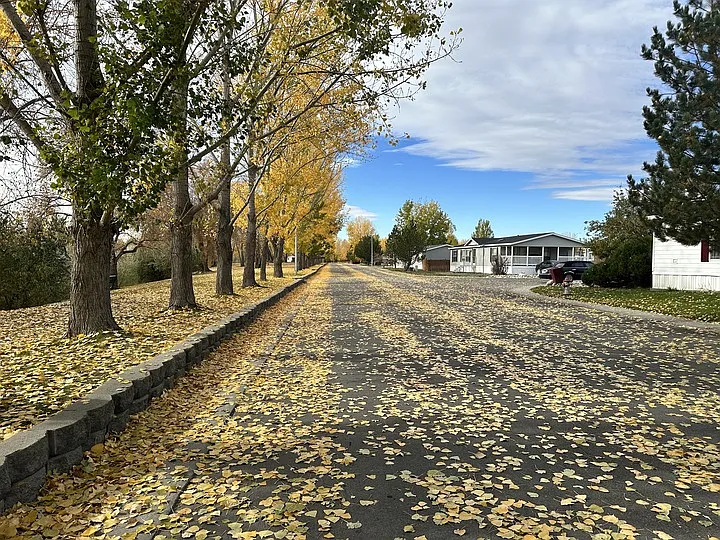 Cherry Creek — Photo 2