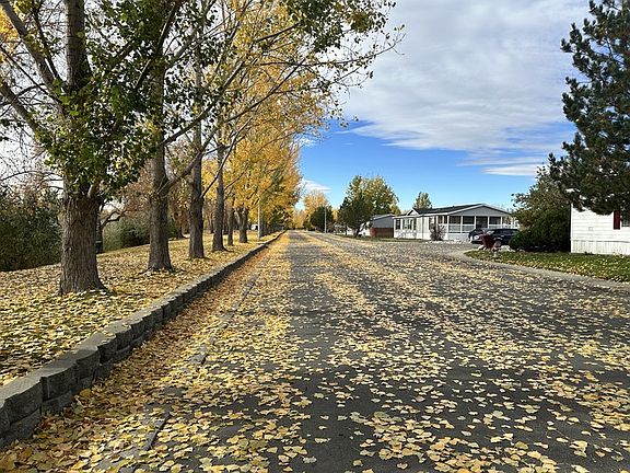 PondDriveway