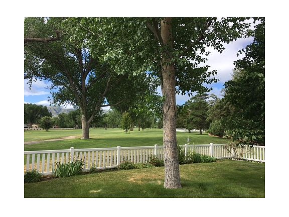 10th Fairway Backyard