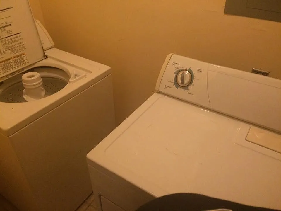 2 bed, 1200 sqft, $900 — Photo 3