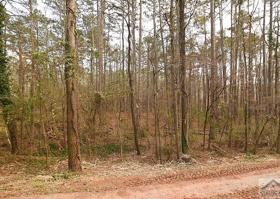 2nd image of 385 Lavender Rd