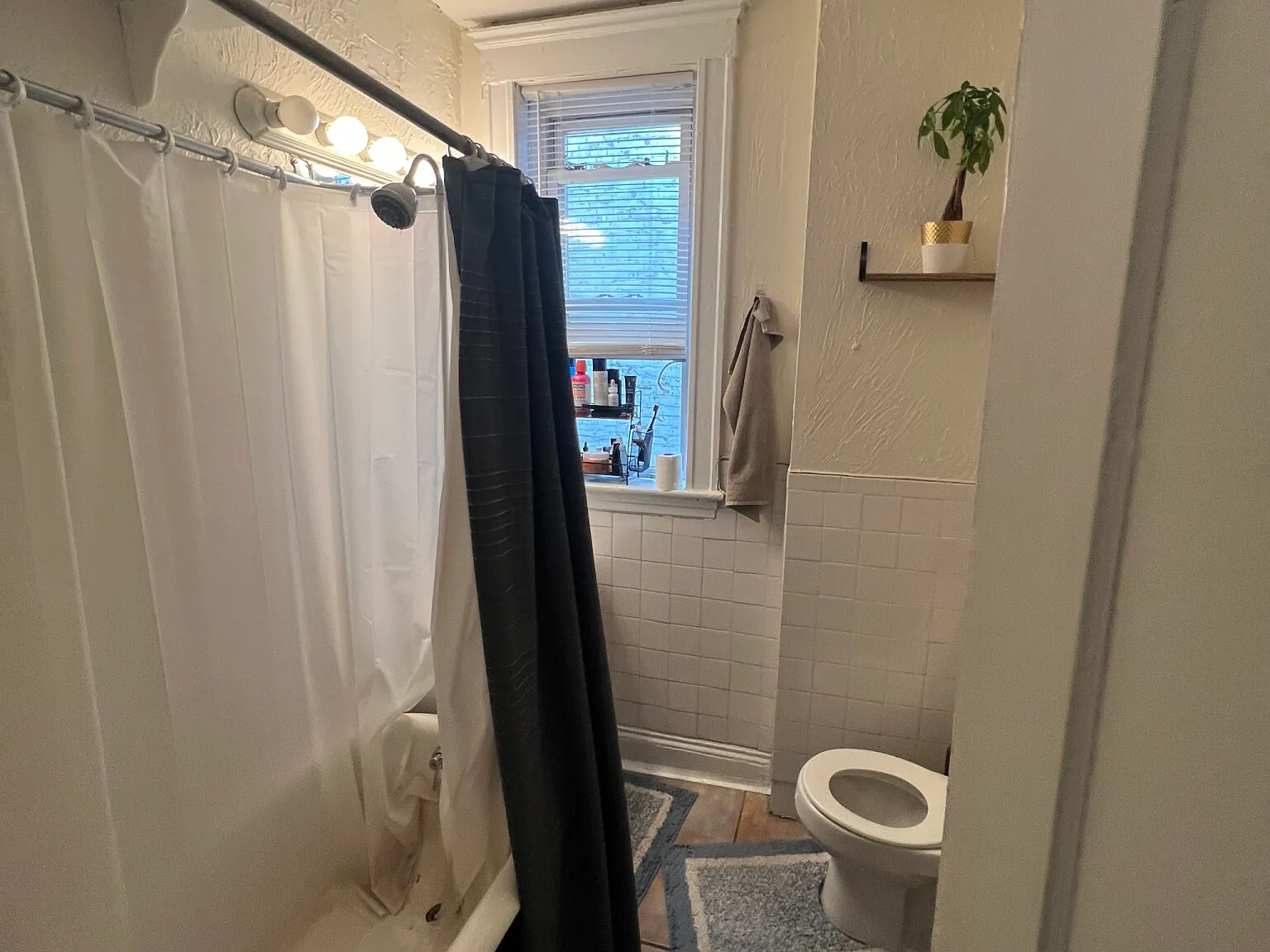 2 bed, 9999 sqft, $2,500 — Photo 3