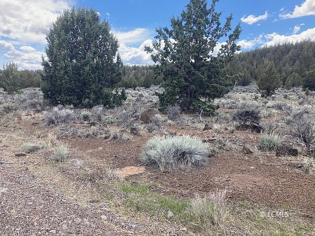 1st image of Nka Hwy #31
