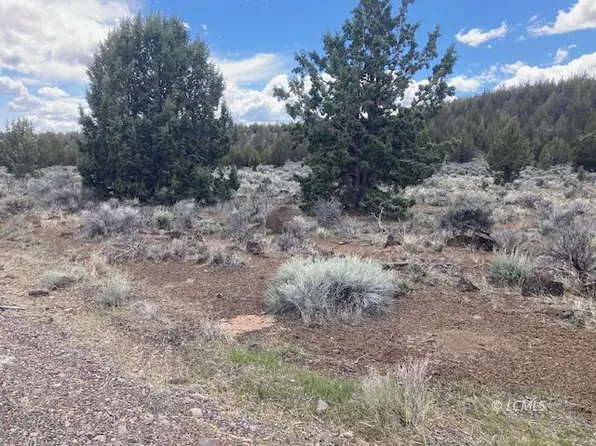 Nka Hwy #31, Silver Lake, OR 97638