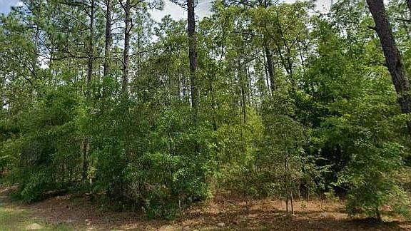 3rd image of 1204 W FAN DRIVE LOT 8