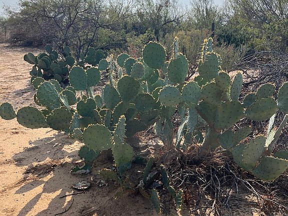 2nd image of 87 quinney