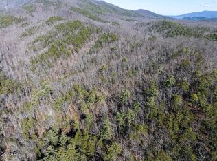 TRACT 4 Wilhite Rd, Sevierville, TN 37876