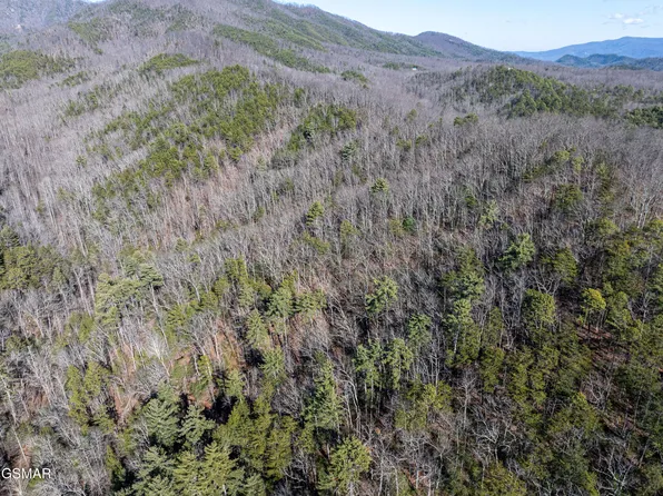 TRACT 4 Wilhite Rd, Sevierville, TN 37876