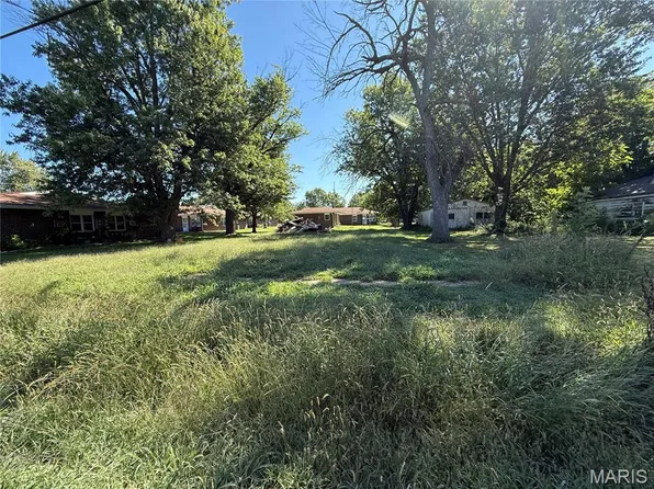 303 S Public St, Center, MO 63436