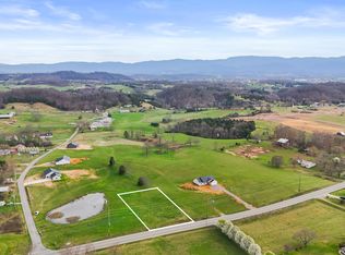 LOT 7 Snapps Ferry Rd, Afton, TN 37616