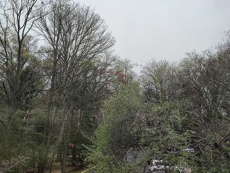 Greenmont Ct — Photo 22