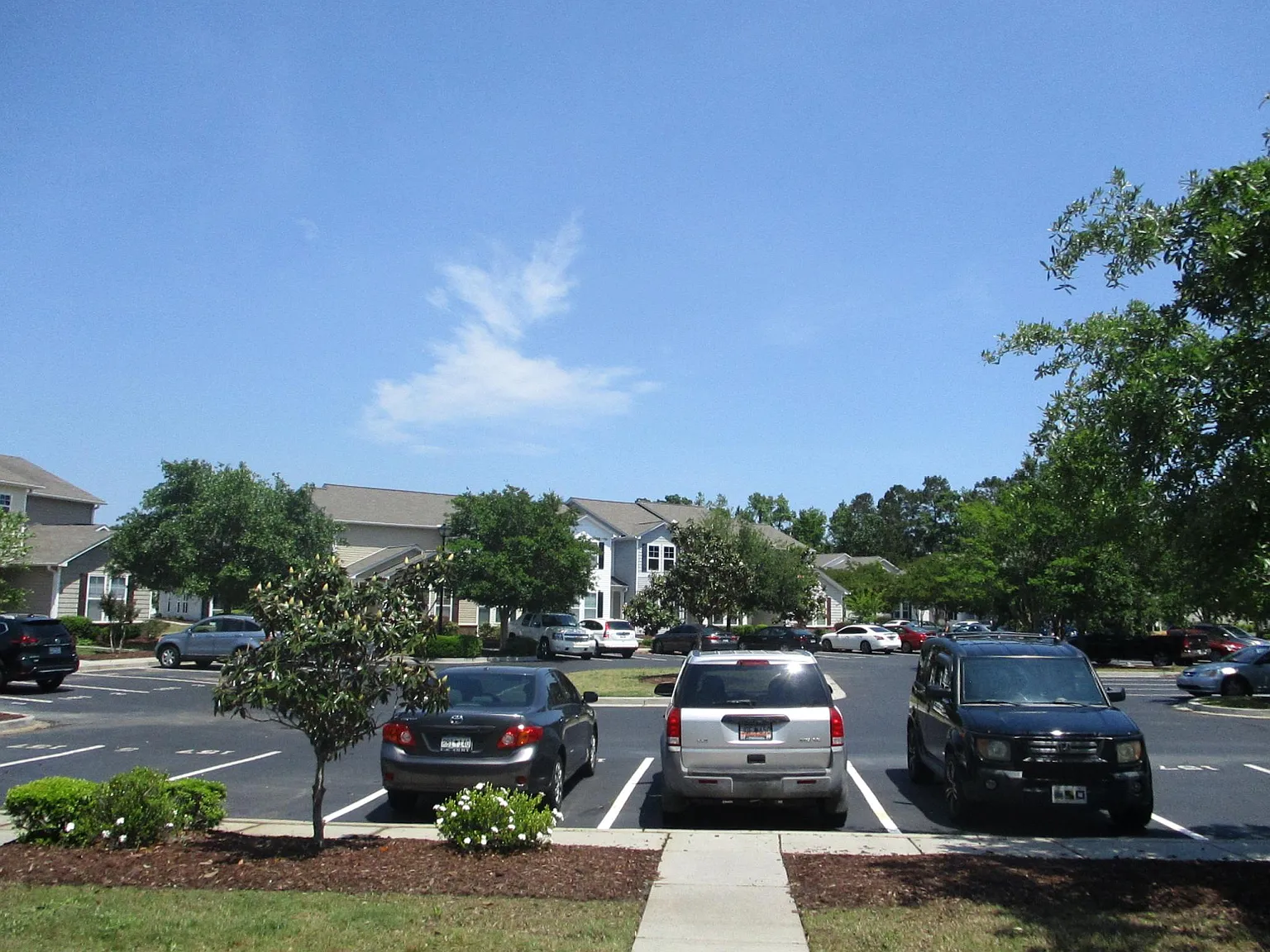 3 bed, 1550 sqft, $1,700 — Photo 3