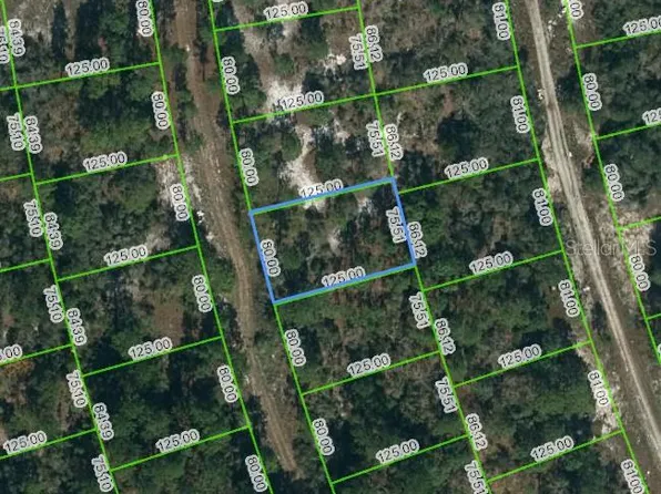 217 Blue Horizon Dr #18, Lake Placid, FL 33852