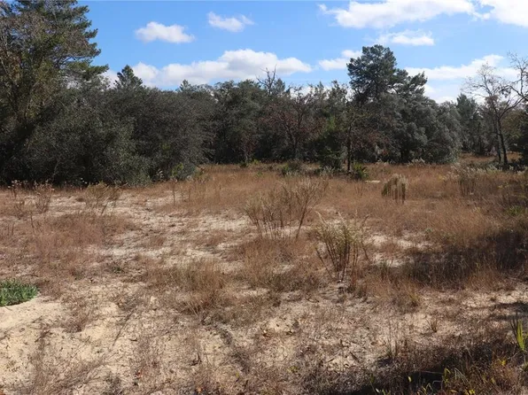 9097 N Peewee Point Lot 6, Dunnellon, FL 34433
