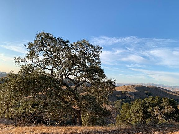 4th image of 2295 Rolling Hills Dr