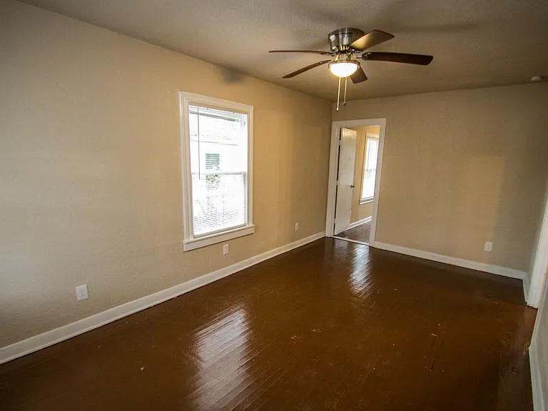 932 Poinsettia — Photo 16