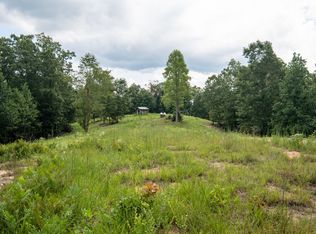 694 Napier Rd, Hohenwald, TN 38462