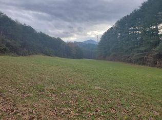 1342 Deep Creek Rd, Bryson City, NC 28713