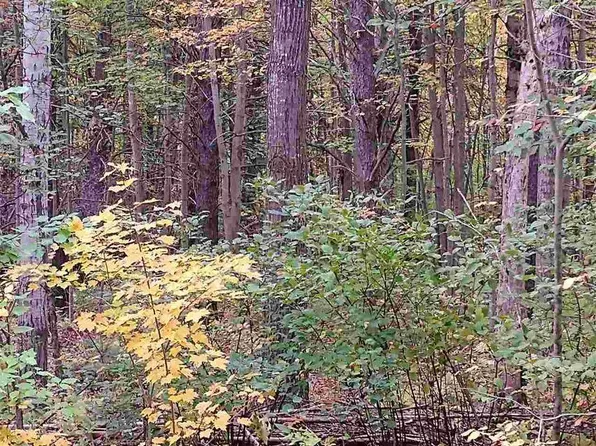 Ridgeview Dr, Prudenville, MI 48651