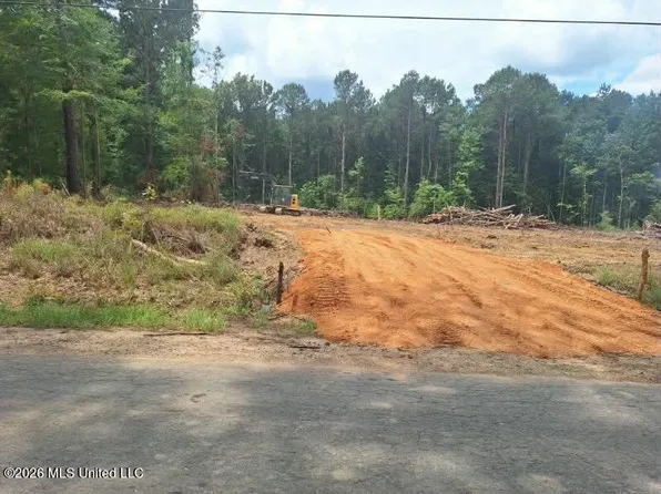709 Old Pinola Braxton Rd, Braxton, MS 39044