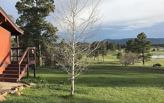 3rd image of 440 Caddy Cir