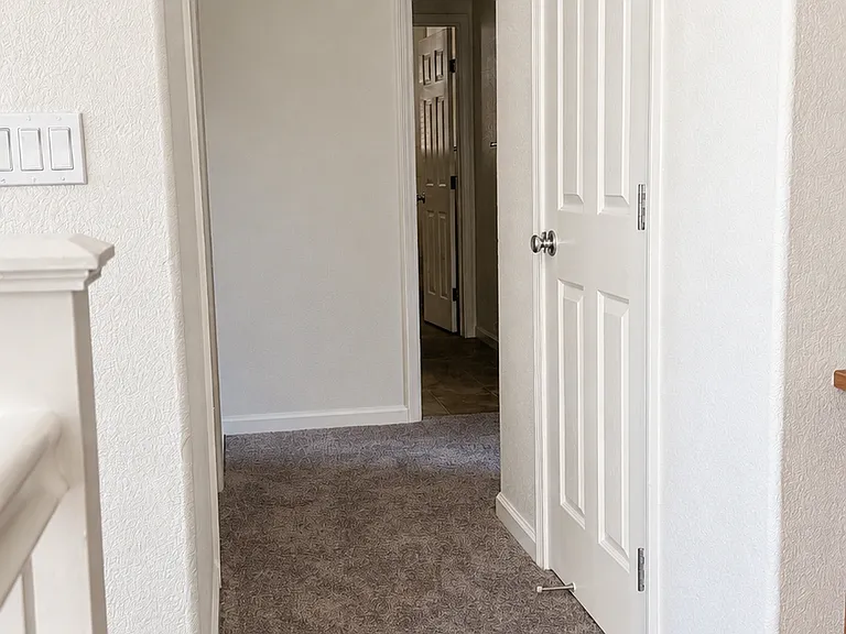 3844 Purple Finch Ln — Photo 18