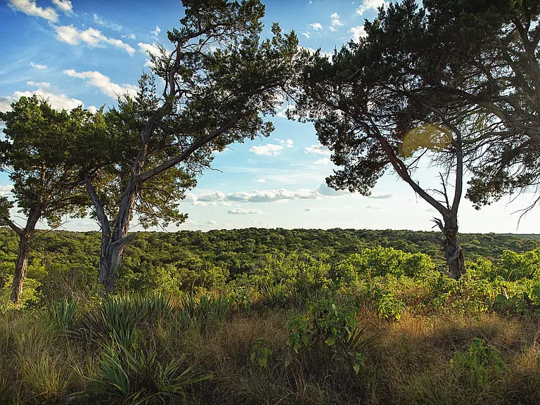 THREE-CREEKS-BELTON-0015-min_04032024
