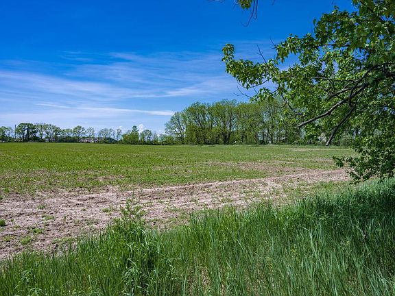 3rd image of 31.94 Acres Taylor Road