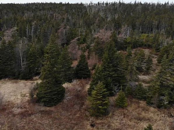 76 - 84 Conception Bay Highway, Holyrood, NL A0A2R0