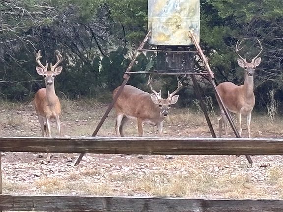 2nd image of Fm 3023 S