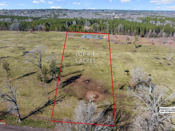 4 County Road 379, Laneville, TX 75667