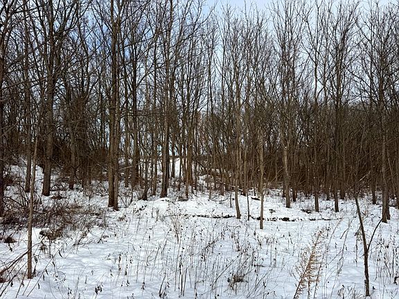 5th image of 2B Creek Rd #2B