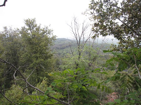 VIEW N. PEAK