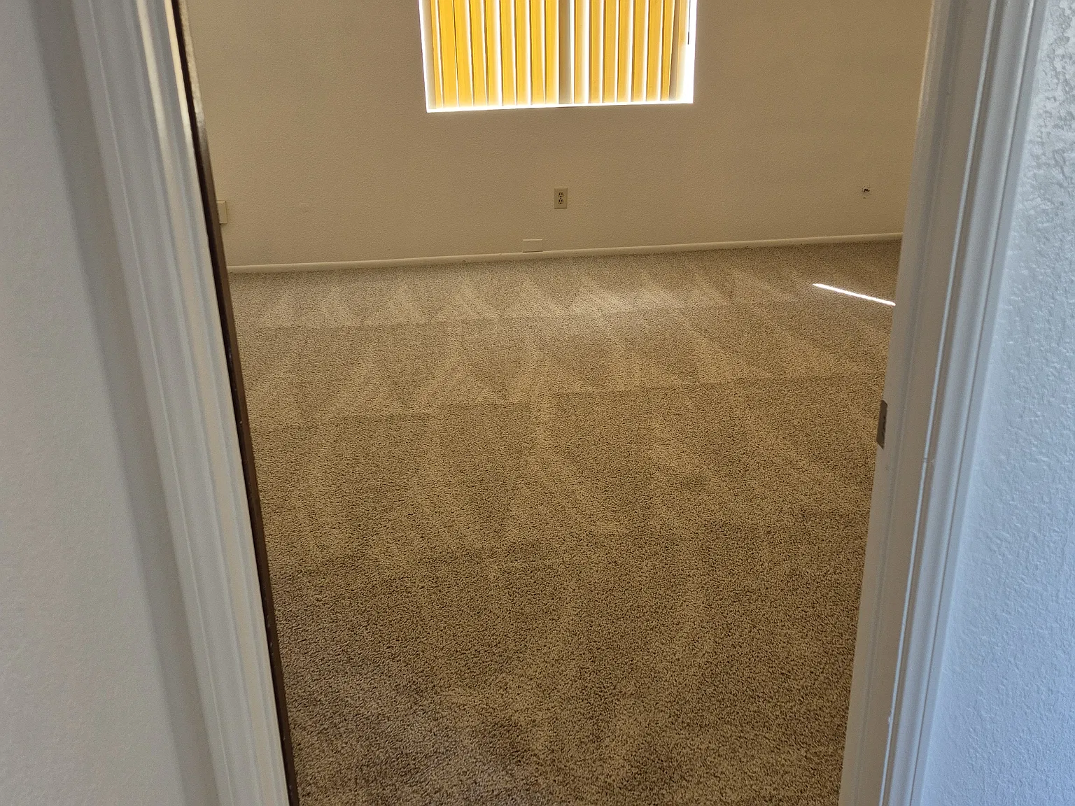2 bed, 950 sqft, $1,650 — Photo 2
