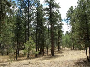 222 Cheyenne Rd, Westcliffe, CO 81252