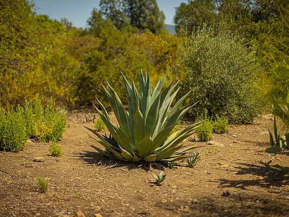 3rd image of 1 Hendrickson Rd