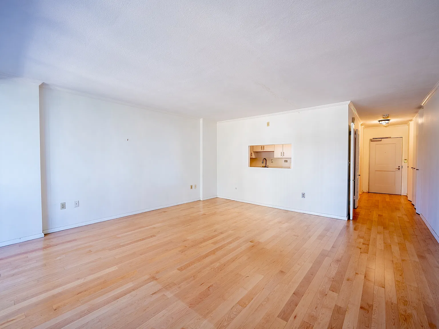 1 bed, 542 sqft, $3,500 — Photo 3