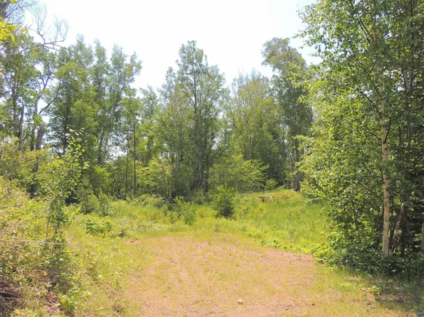 1XX Whippoorwill Ln, Hovland, MN 55606