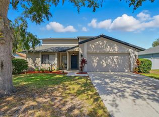 1208 Monte Lake Dr, Valrico, FL 33596