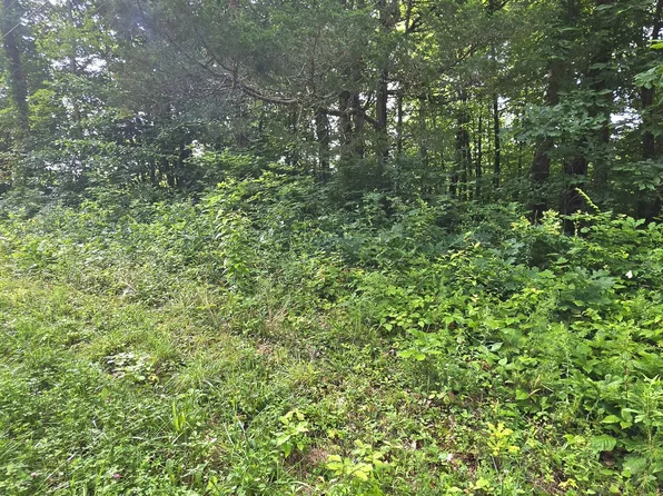 LOT 18 Pine Ln, Maynardville, TN 37807