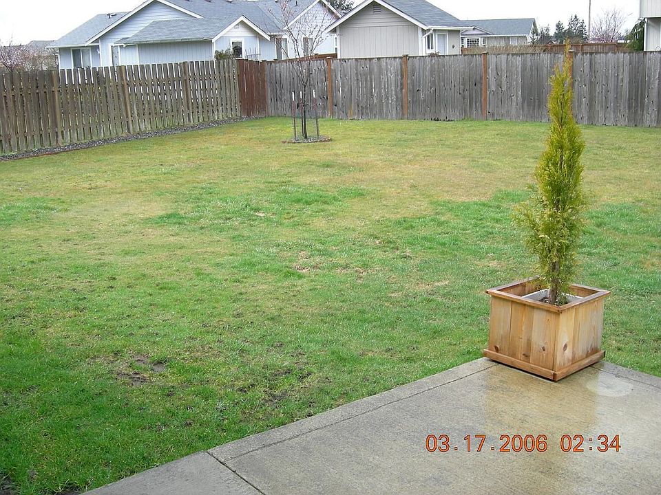 Backyard, right side