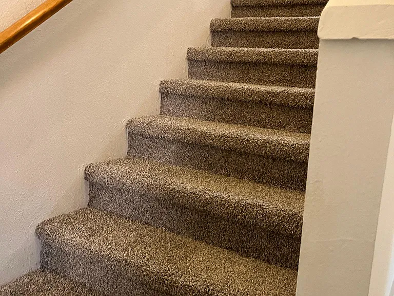 Carpeted stairs