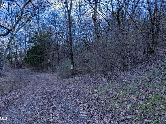 3rd image of 0 County Road 267