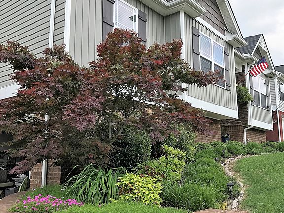 4th image of 9083 Wood Dale Ln