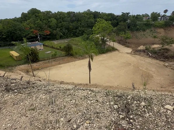Carretera Pr #115, Aguada, PR 00602