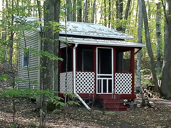 15484 Wurm Rd, Wolverine, MI 49799