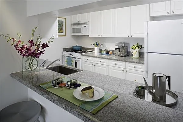 Rented by Nancy Packes Inc. | media 1